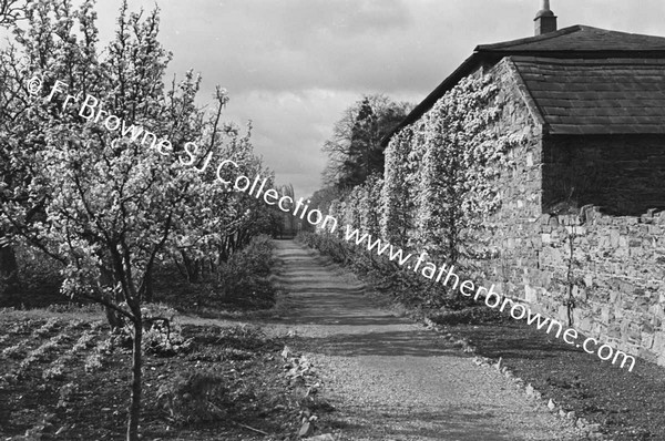 MILLTOWN PARK S.J SPRINGTIME IN GARDEN